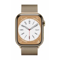 Умные часы Apple Stainless Steel 8/45 Gold