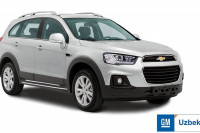 СТУПИЦА В СБОРЕ ЗАДНЯЯ (C АБС) CHEVROLET CAPTIVA