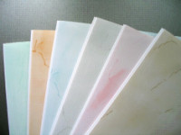 Пластик потолочный-SPEKTR STROY INVEST