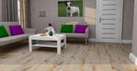 Laminat Kastamonu FP552 Oak Matisse