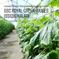 OSC ROYAL GREENHOUSES - СОВРЕМЕННЫЕ ЕВРОПЕЙСКИЕ ТЕПЛИЦЫ "ПОД КЛЮЧ".