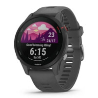 Смарт часы Garmin Forerunner 255 Gray