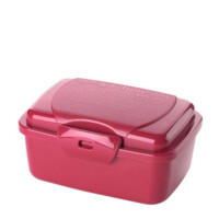 Ёмкость для хранения пищевых продуктов  TAKEAWAY BOX 850 ML-ASAXIY UZ