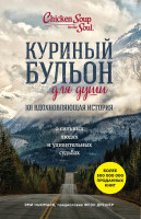 Эми Ньюмарк: Куриный бульон для души. 101 вдохновляющая история