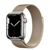 Смарт часы Apple Watch Series 7 GPS 45mm Silver/Gold