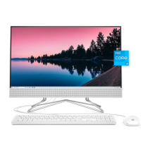 Моноблок HP All-in-One 24 DF1033NY / Intel i3-1125G4 / DDR4 4GB / HDD 1TB / Intel IrisX Graphics / DVD / 23.8" Full HD / Wi-Fi / White