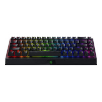 Клавиатура Razer BlackWidow V3 mini HyperSpeed (Green Switch)