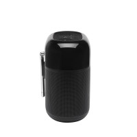 Портативная акустика JBL Tuner XL FM