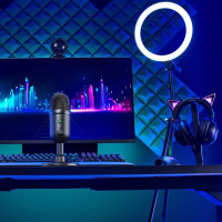 Микрофон Razer Seiren V2 X (Black)