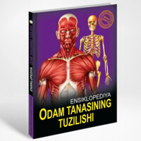 Odam tanasining tuzilishi (Mening birinchi ensiklopediyam)