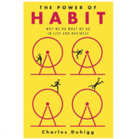 Charles Duhigg: The power of Habit (soft cover)