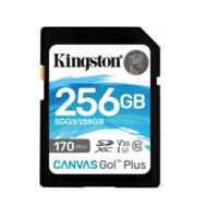 Карта памяти 256GB SDXC Canvas Go Plus 170R C10 UHS-I U3 V30