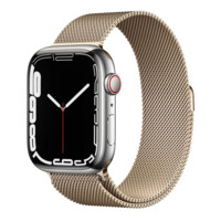 Смарт часы Apple Watch Series 7/45mm Milanese Gold